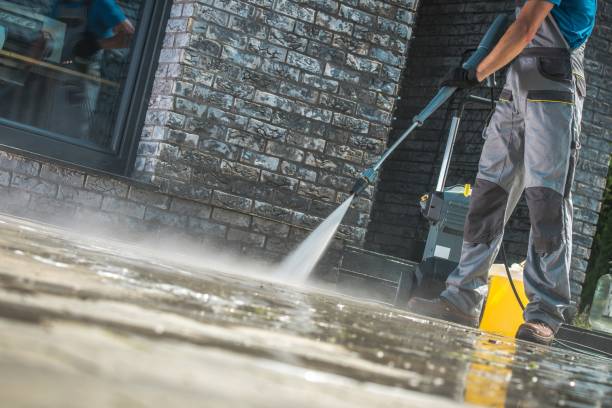 Best Spring Cleaning  in Wimauma, FL
