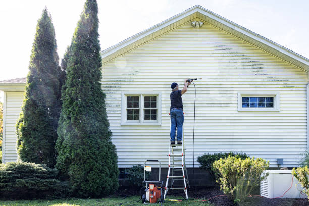 Best Patio and Deck Pressure Washing  in Wimauma, FL
