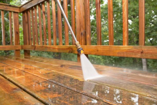 Best Sidewalk and Walkway Cleaning  in Wimauma, FL