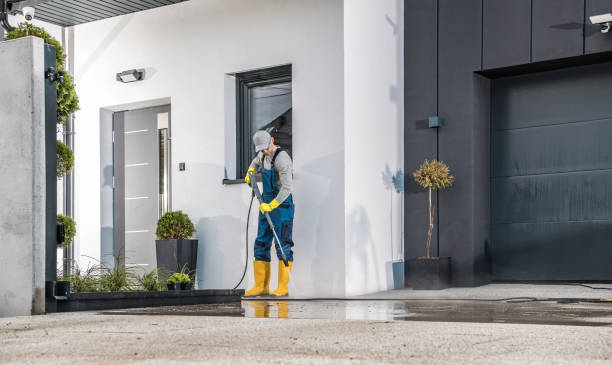 Best Driveway Pressure Washing  in Wimauma, FL
